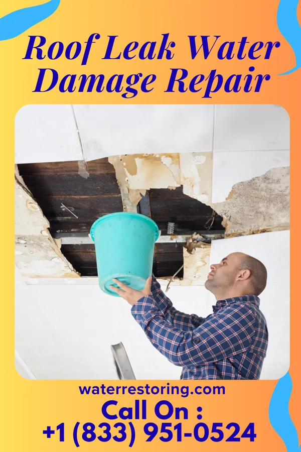 Roof Leak Water Damage Repair in Summerville, OR
